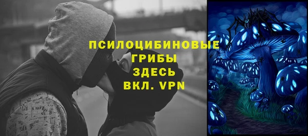 PSILOCYBIN Костерёво