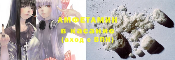 трава Коряжма