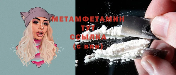 трава Коряжма