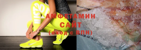 трава Коряжма