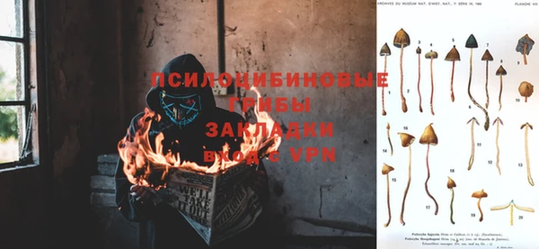 трава Коряжма