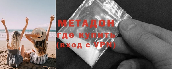 сатива Корсаков