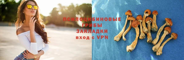 сатива Корсаков