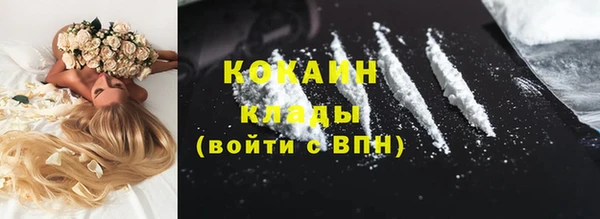 PSILOCYBIN Костерёво