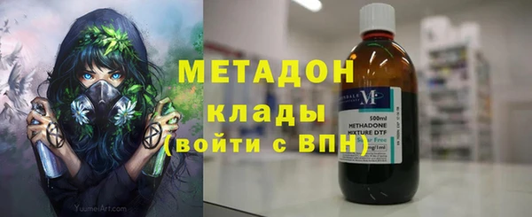 трава Коряжма