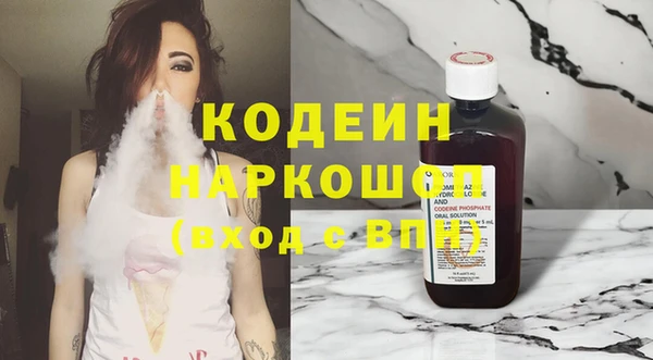 трава Коряжма