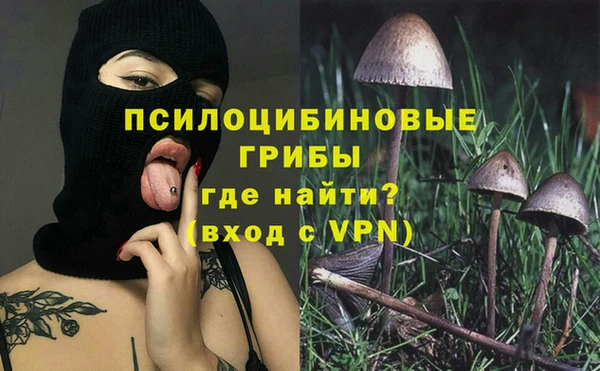 PSILOCYBIN Костерёво