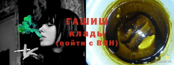 трава Коряжма