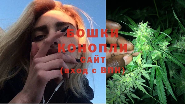 PSILOCYBIN Костерёво