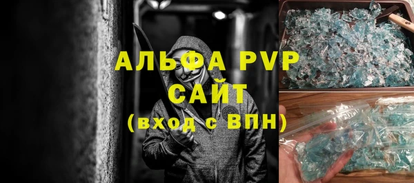 сатива Корсаков