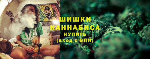 трава Коряжма