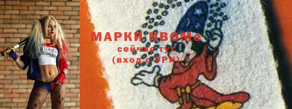 трава Коряжма