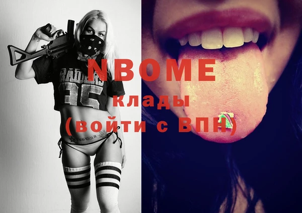 трава Коряжма