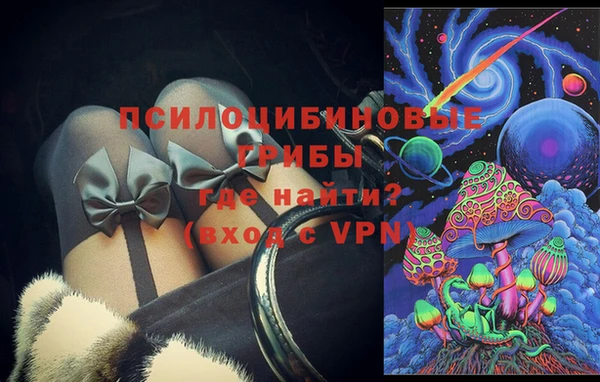 трава Коряжма