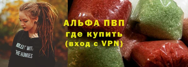 сатива Корсаков