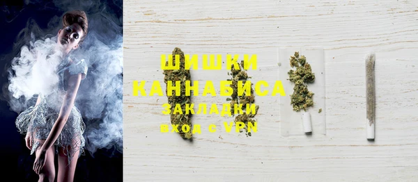 трава Коряжма