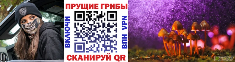 закладка  MEGA tor  Псилоцибиновые грибы MAGIC MUSHROOMS  Тюмень 